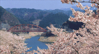 青蓮寺湖