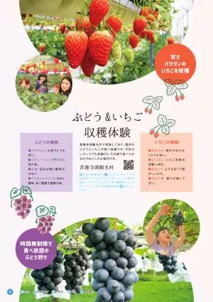 8ページ