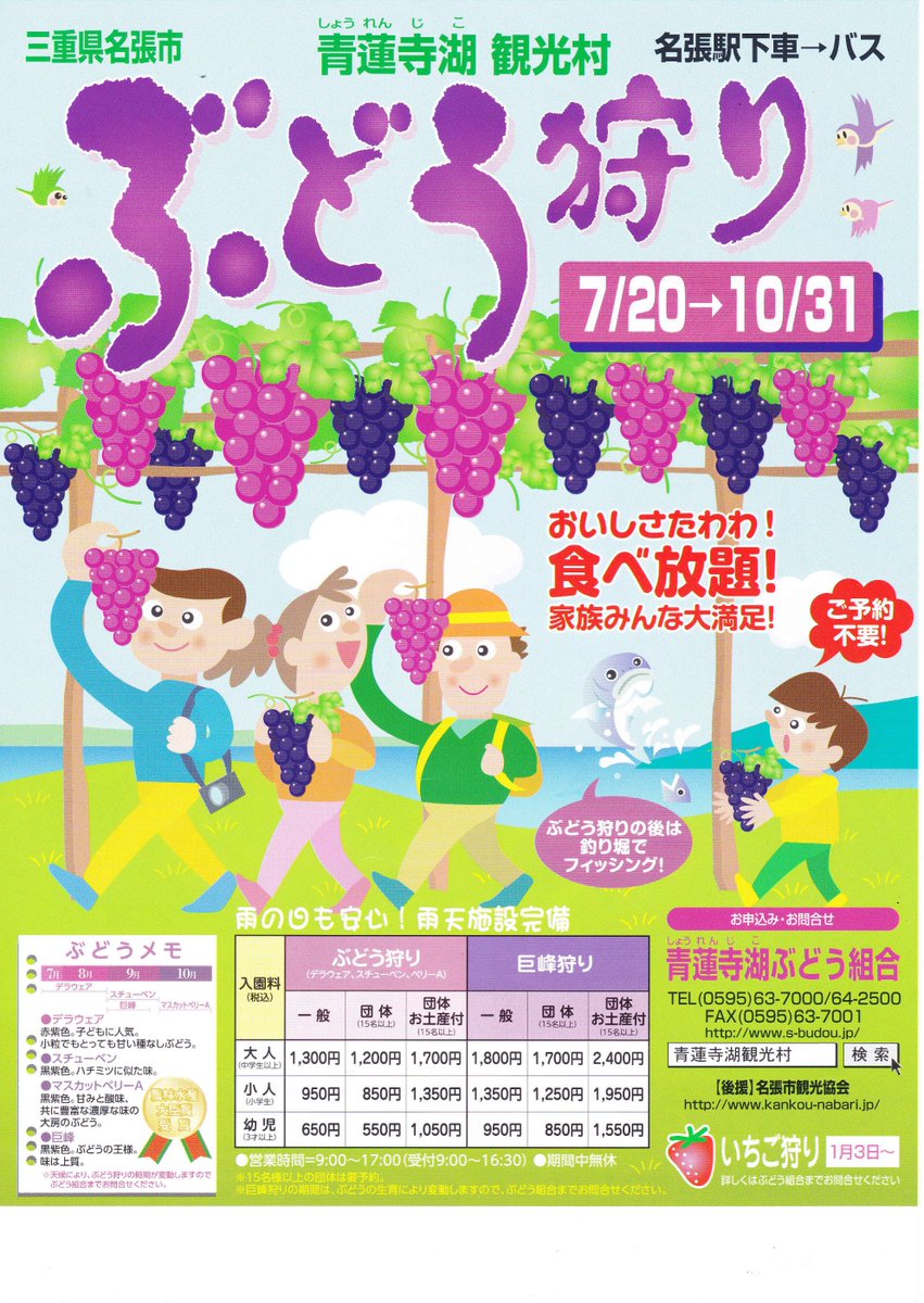 青蓮寺湖観光村　ぶどう狩り　前売り券発売中！