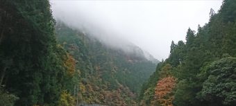 【紅葉情報】積田神社・青蓮寺湖・香落渓