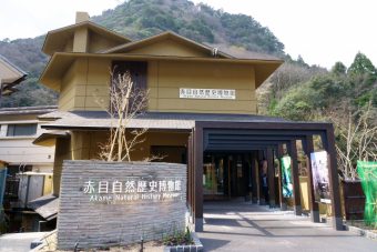 赤目四十八滝にて名張市の魅力発信イベントを催します♪