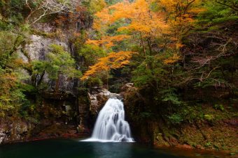 【SOMPO美術館】川瀬巴水 「旅と郷愁の風景」のご案内