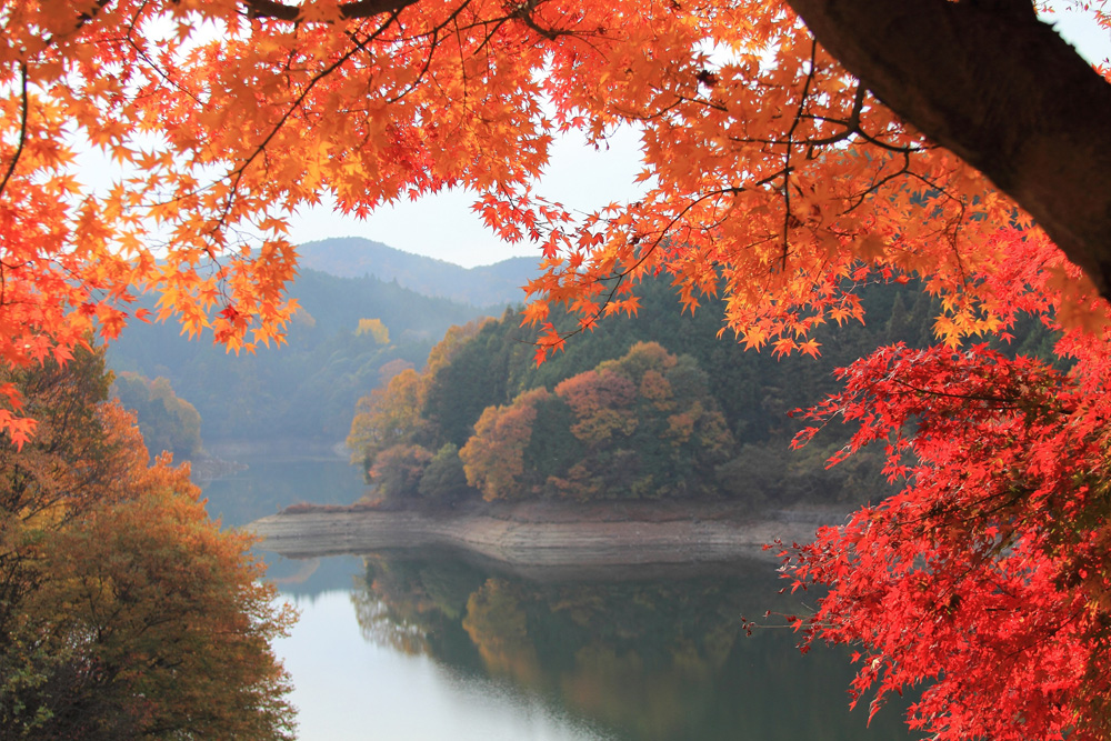 青蓮寺湖