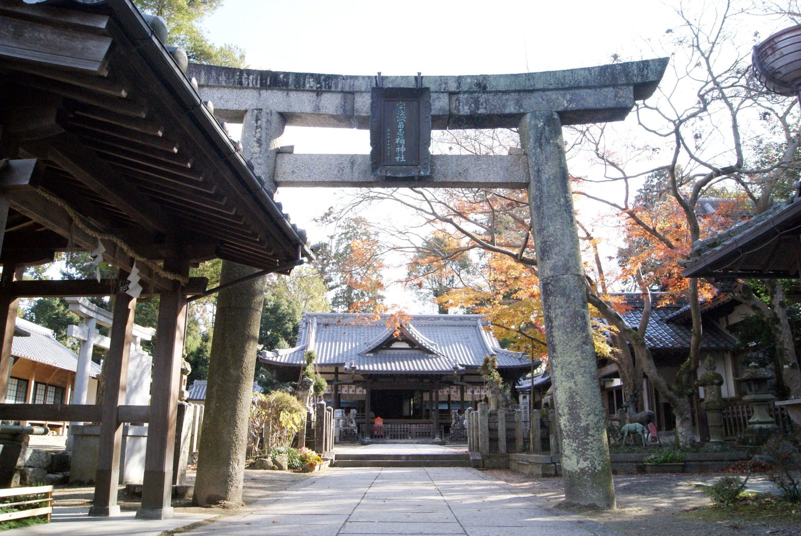 宇流冨志禰神社（うるふしねじんじゃ）