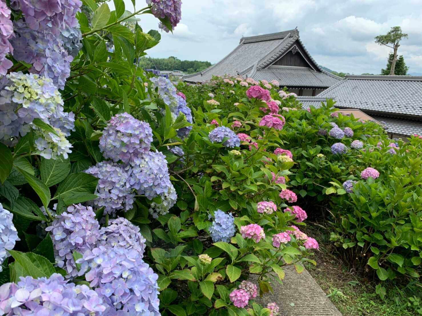 日朝山 弥勒寺（みろくじ）