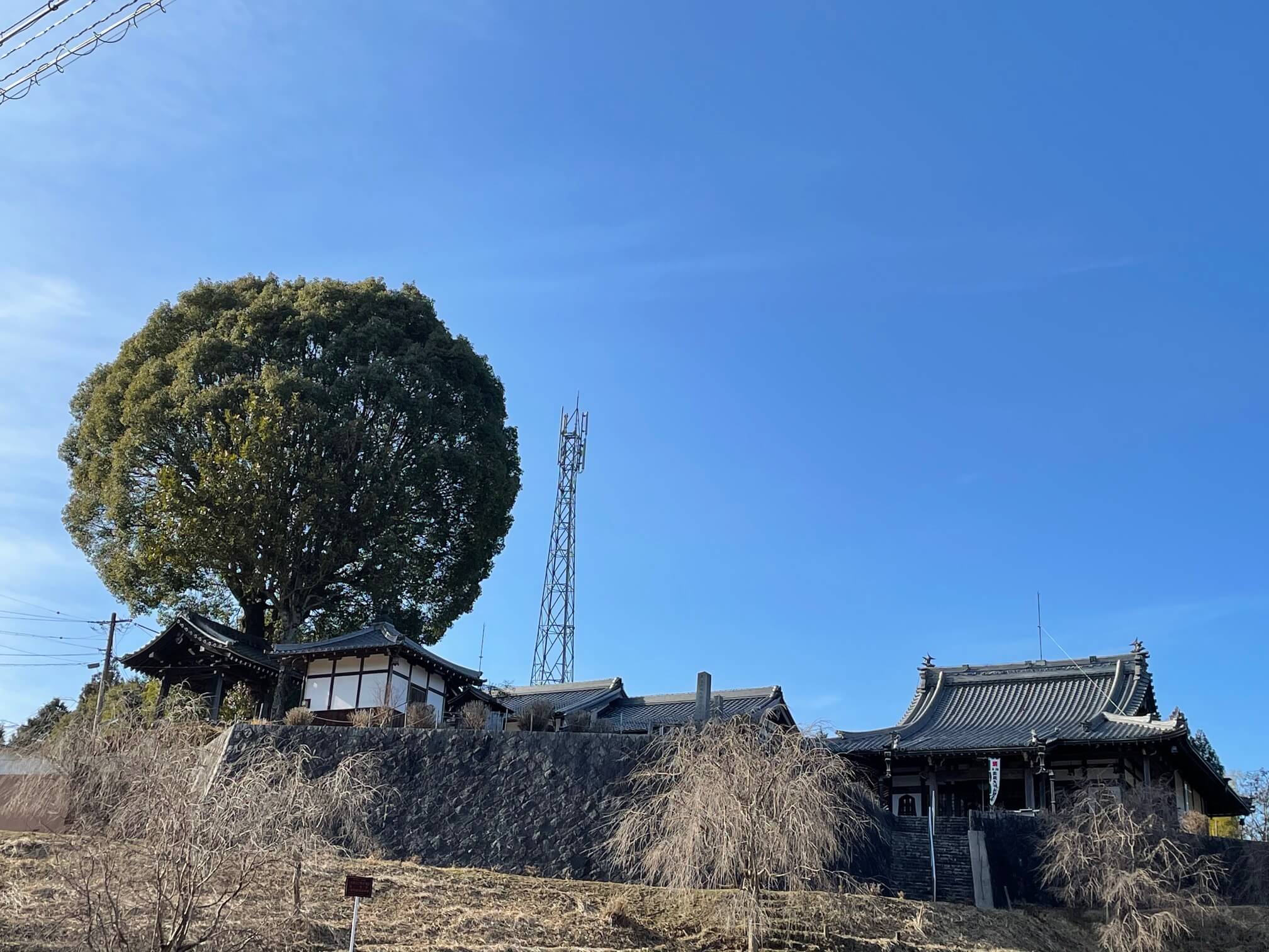 地蔵院 青蓮寺（しょうれんじ）