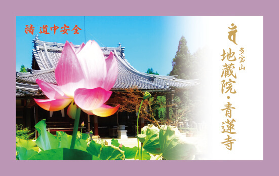 境内の蓮の花
