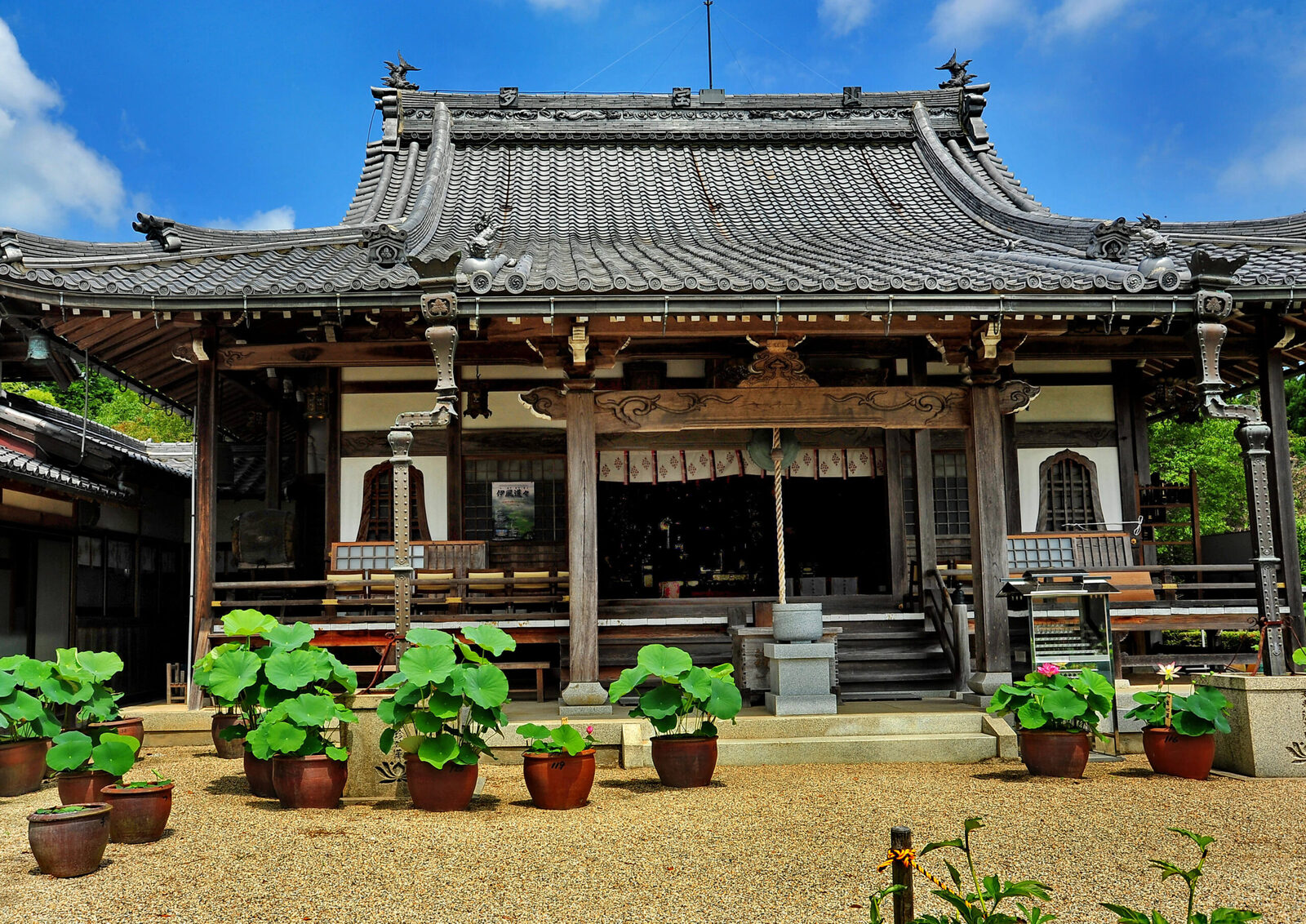 地蔵院 青蓮寺（しょうれんじ）
