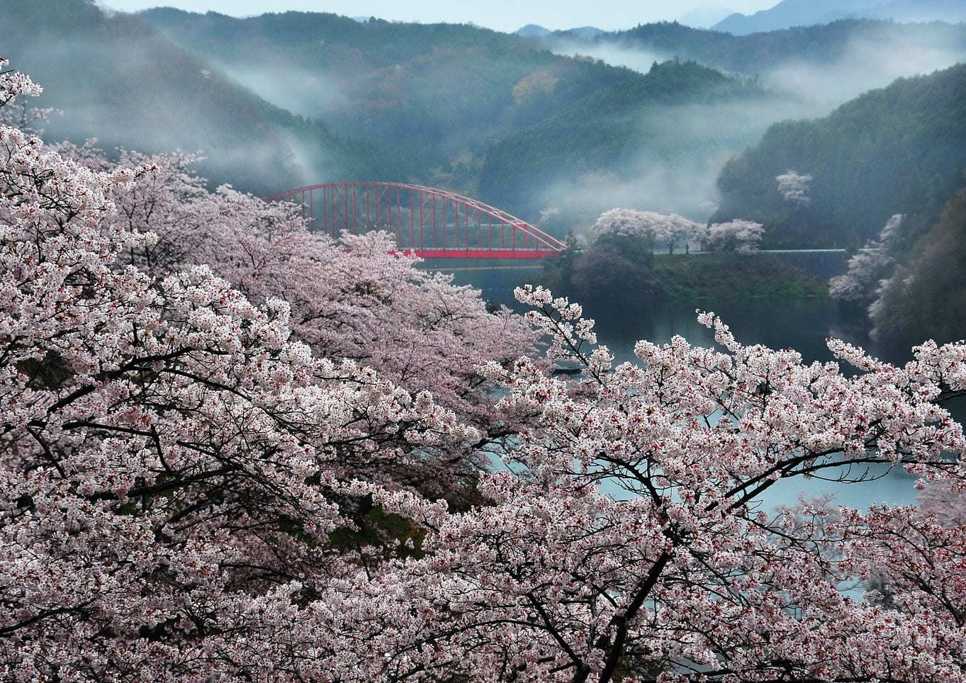 青蓮寺湖観光村(しょうれんじこかんこうむら)