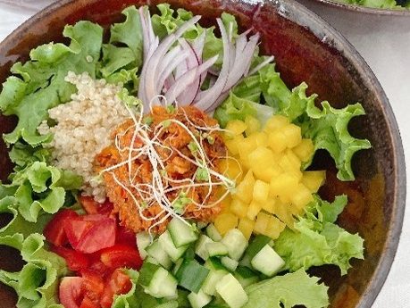 【6~9月(要問合せ)】もぎたてキッチン！🥗