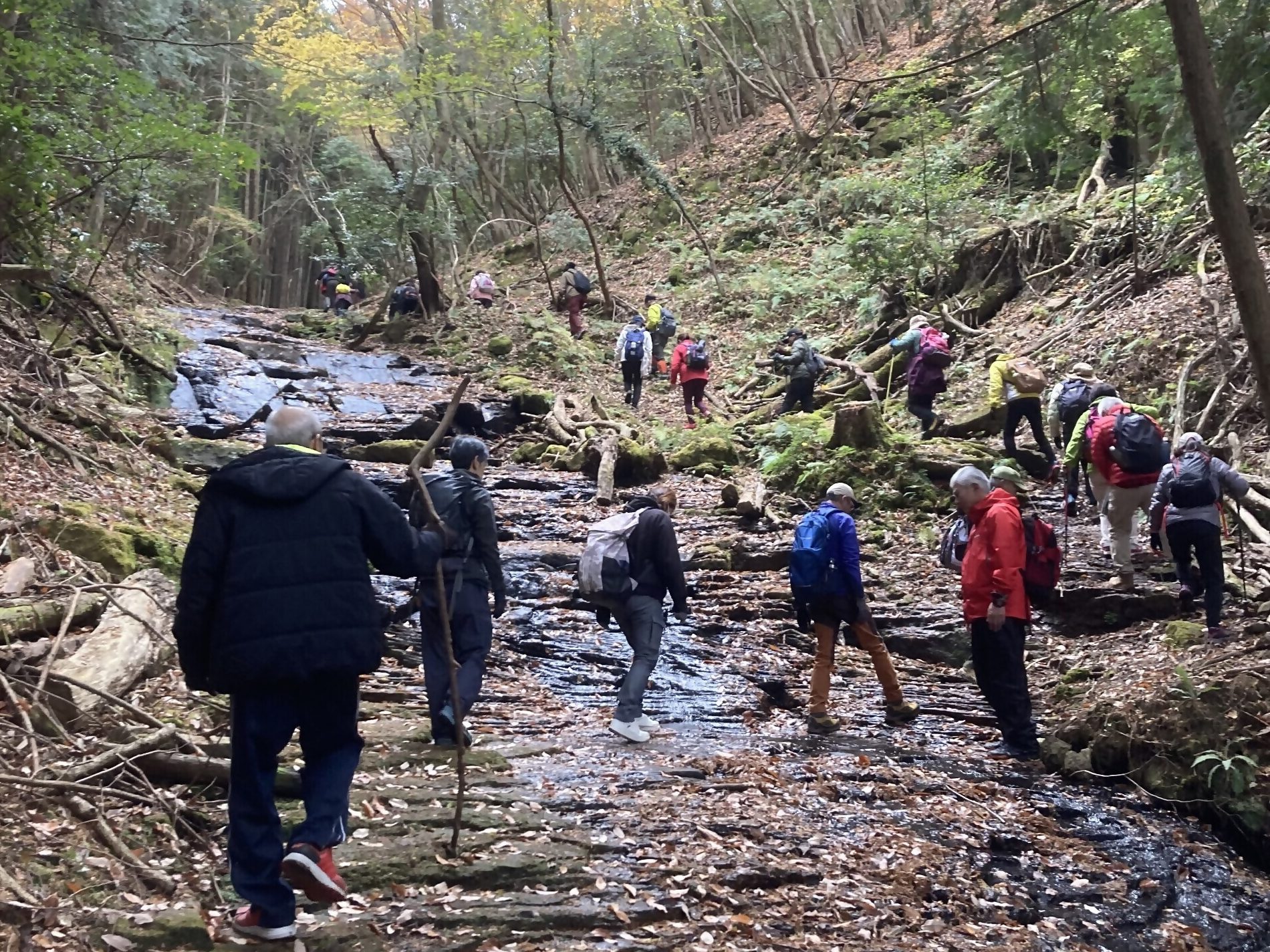 【通年(要問合せ)】名張の山々、気ままにハイキング🚶