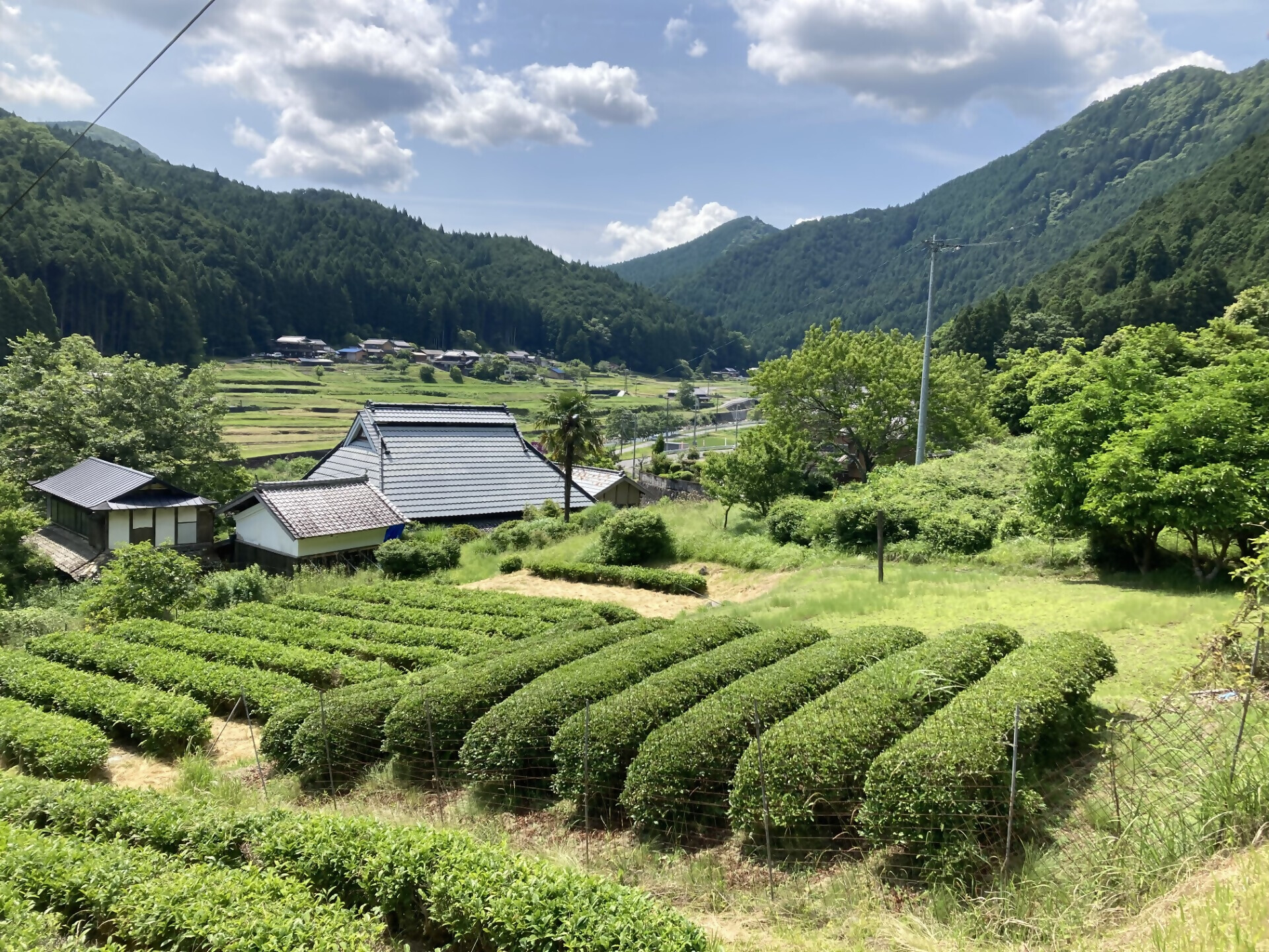 【通年(要問合せ)】名張の山々、気ままにハイキング🚶