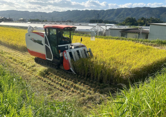 【9月上旬】里山の米作り体験