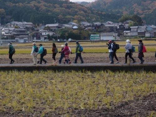 11月 里地里山　遊歩スクール