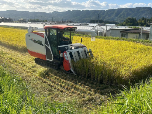 里山の米作り体験　～リアル稲刈り体験ツアー～